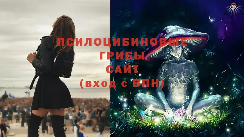 Псилоцибиновые грибы Magic Shrooms  Шуя 